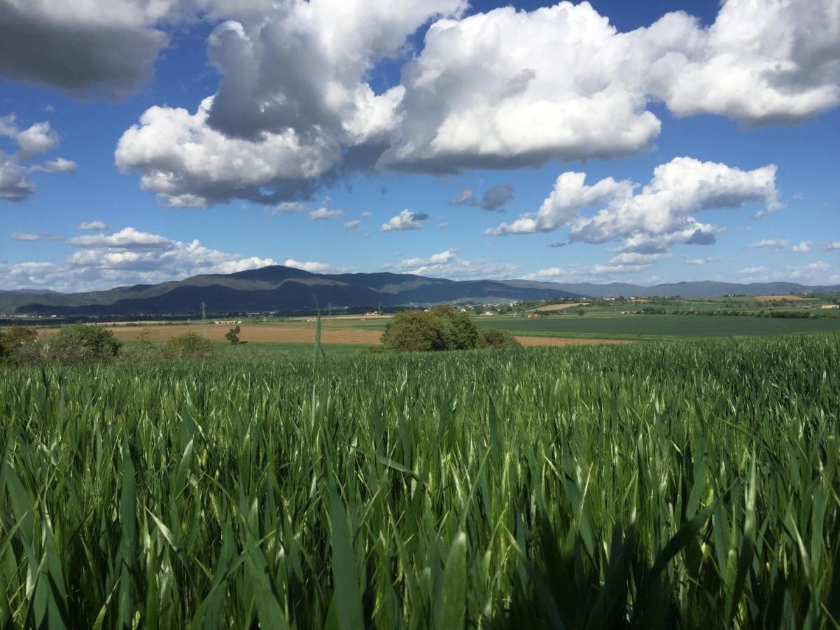 Agriturismo San Francesco Cortona Buitenkant foto