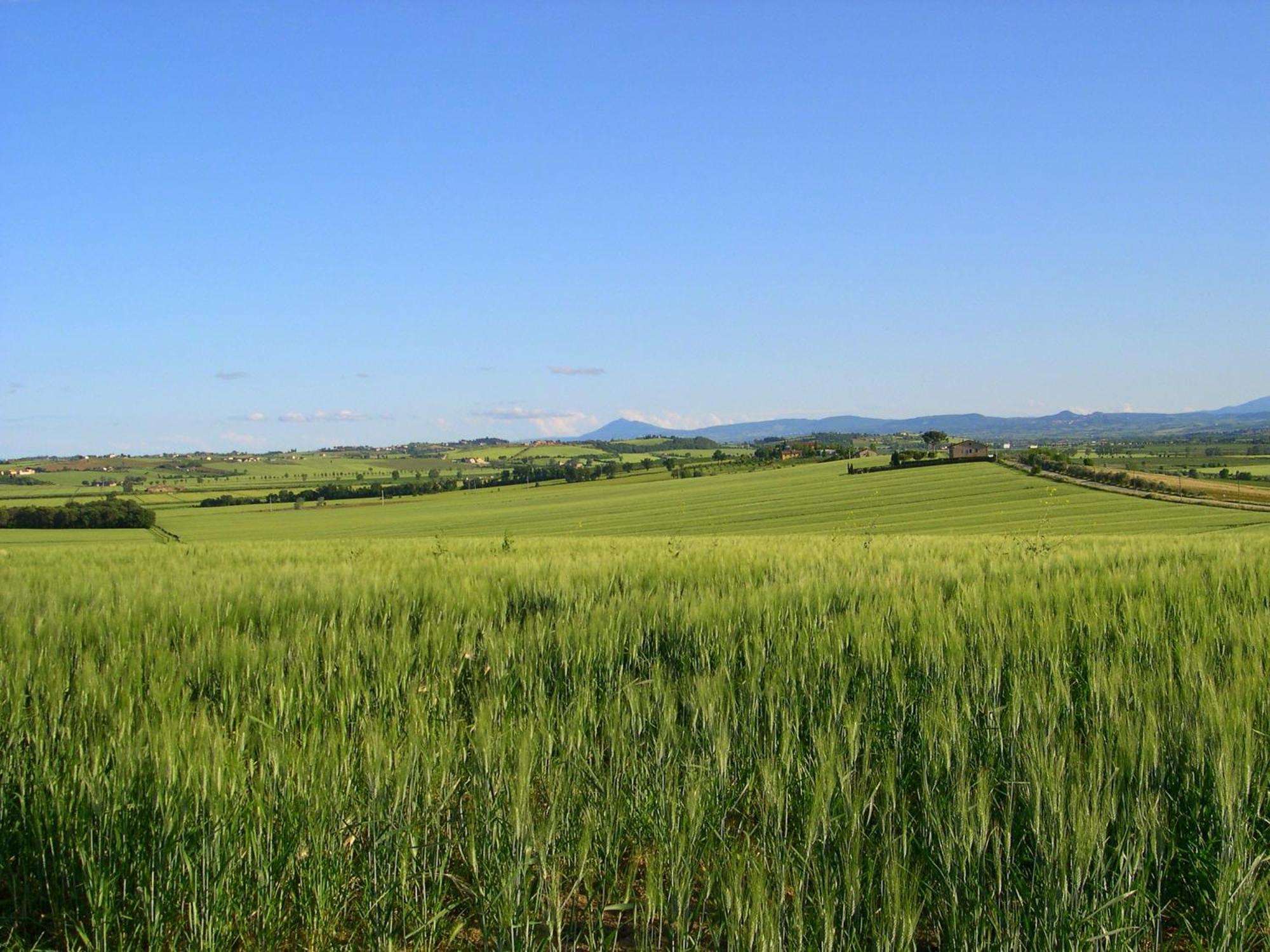 Agriturismo San Francesco Cortona Buitenkant foto